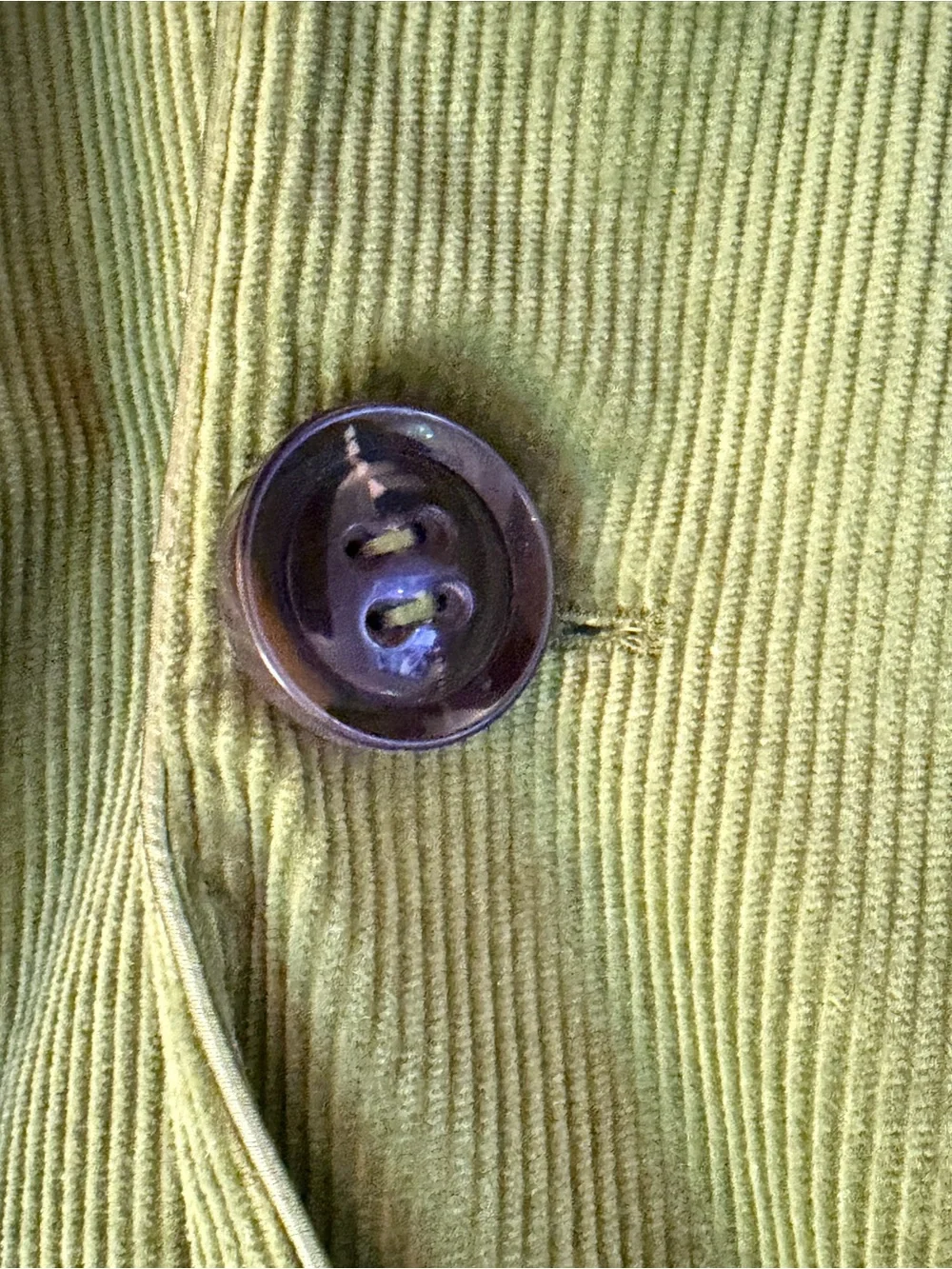 Stegis Green Corduroy Blazer Jacket Size 8 Cotton Stretch Lined